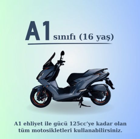 Resim
