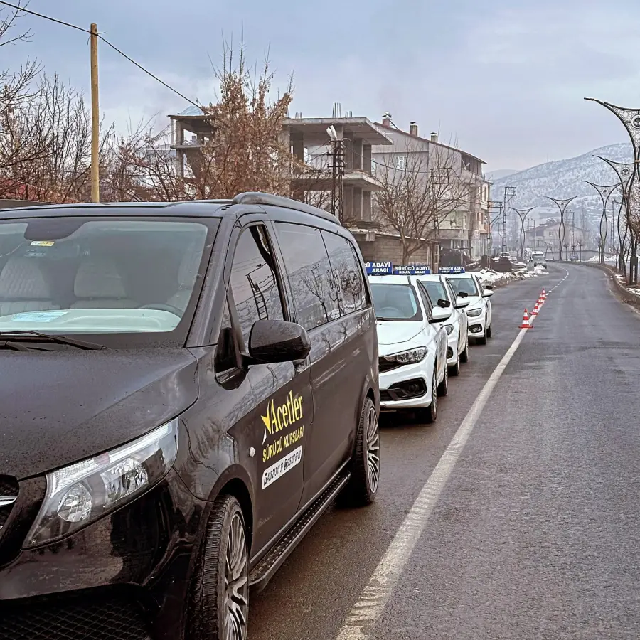 BİTLİS Şübemiz